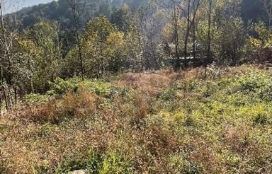 فروش زمین مسکونی با مجوز ساخت 250 متری در لفور