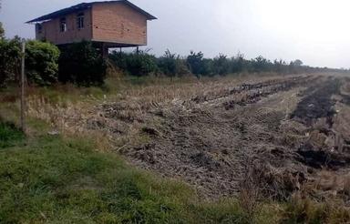 فروش زمین کشاورزی 6000 متر در میانده