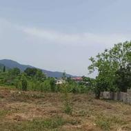 فروش زمین مسکونی 1022 متر در شیخ زاهد چابکسر کوهپایه