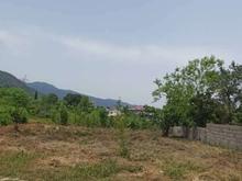 فروش زمین مسکونی 1022 متر در شیخ زاهد در شیپور