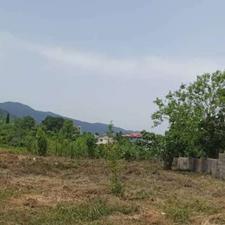 فروش زمین مسکونی 1022 متر در شیخ زاهد