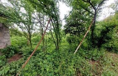 فروش زمین مسکونی1500متردرشریعتی