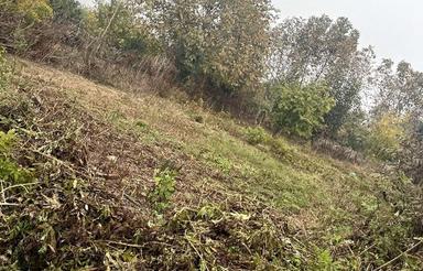 100 متر زمین فوری پول لازم