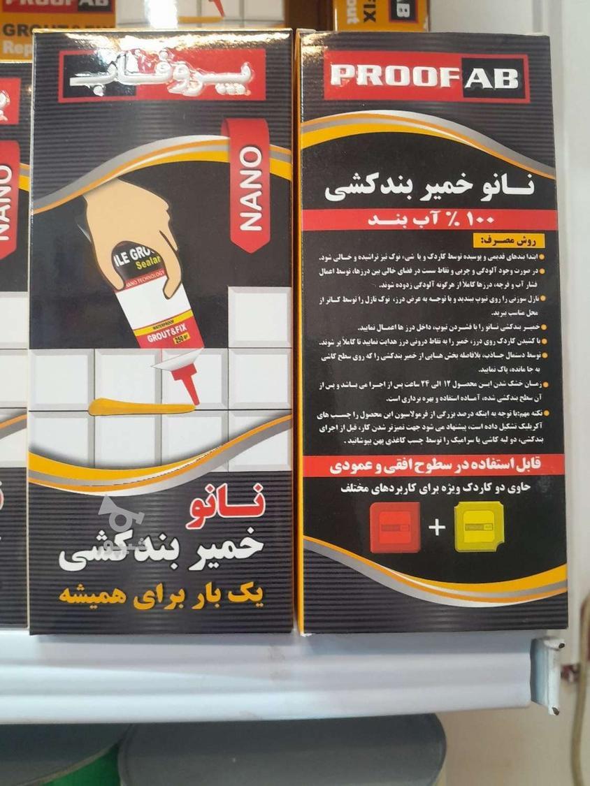 نانو کده ملایر