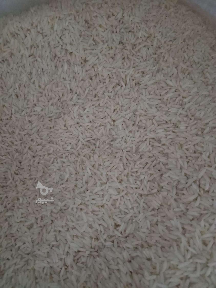 برنج طارم هاشمی