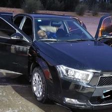 دناپلاس در حدخشک