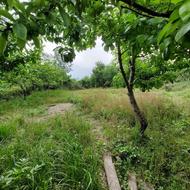 462 متر زمین مسکونی