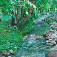 2000مترزمین دررودک