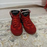 کفش کشتی و دوبنده کشتی نو