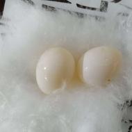 تخم عروس هلندی