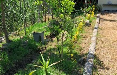 245 متر زمین در شمال جاده دریا