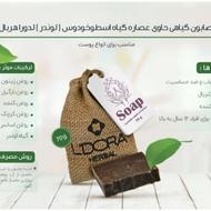 پک های محصولات مراقبتی پوست ومو لدورا