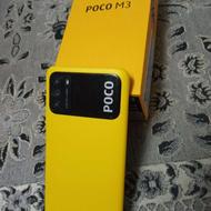 شیاعومی پوکو ام تری