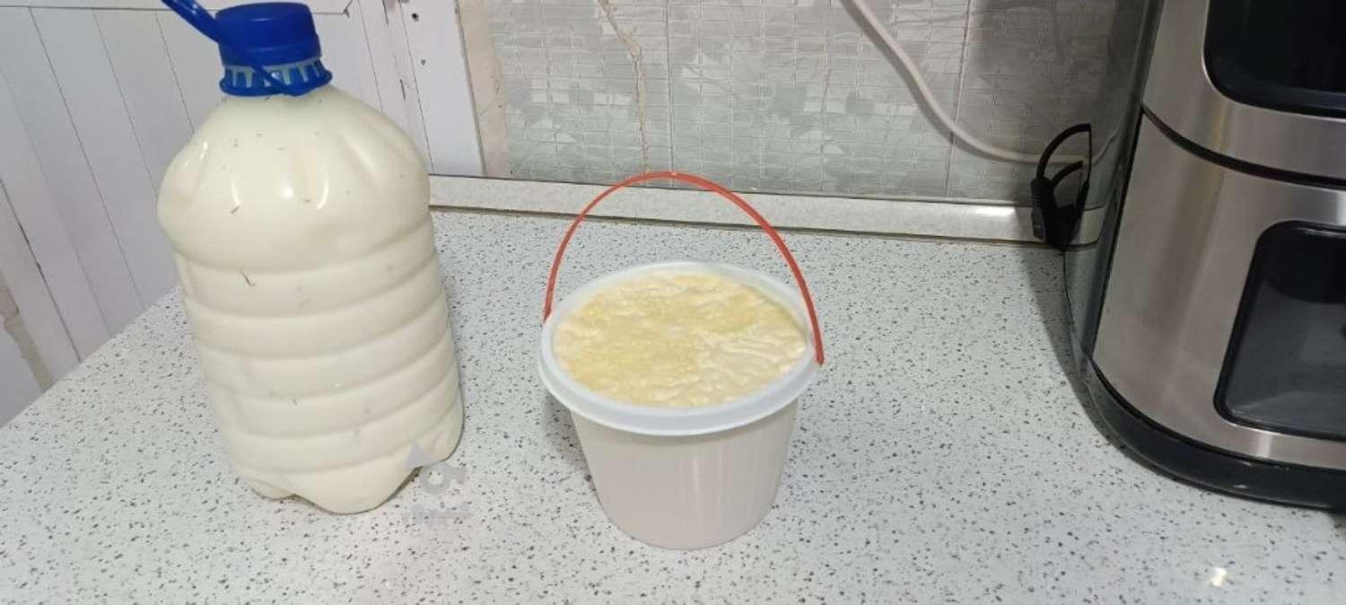 ماست باکیفیت باچربی زیاد دوغ ترش باگیاهان خوش عطر