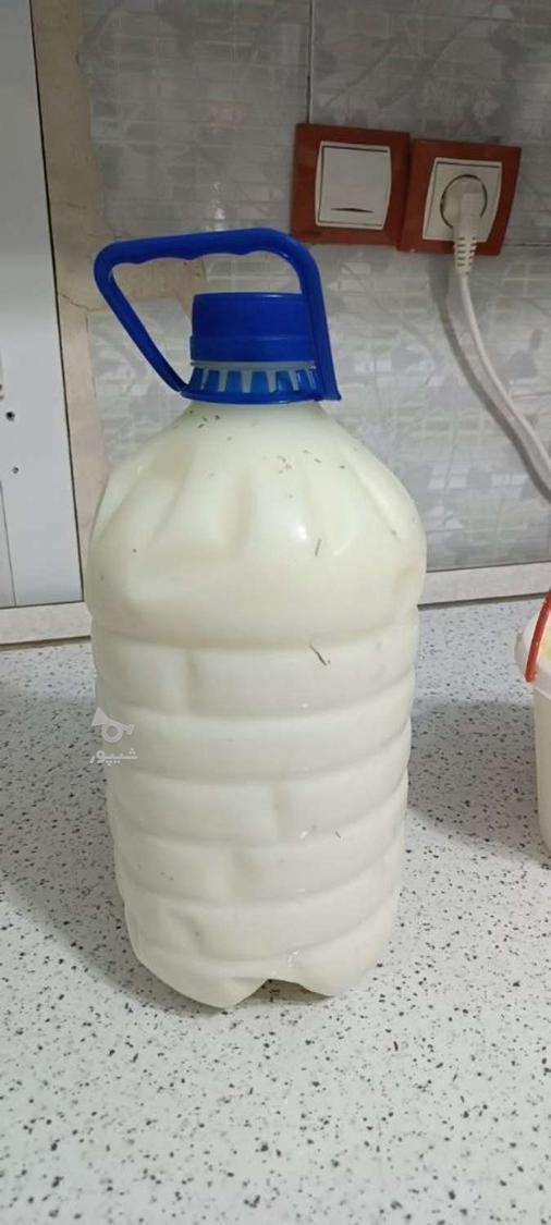 ماست باکیفیت باچربی زیاد دوغ ترش باگیاهان خوش عطر