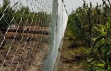 زمین بیلوردی نزدیک گلخانه