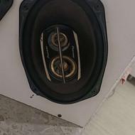 باند پاوینر