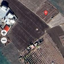 خانه باغ روستای شهریکند