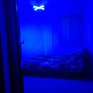 اجاره روزانه و شبانه سوییت آپارتمان (نصف وقت 500)