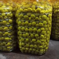 پخش زیتون رودبار