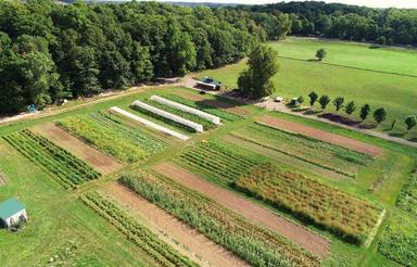 فروش زمین کشاورزی 2900 متر در بندرگز