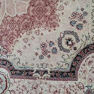 فرش رنگ کالباسی َساوین