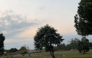 زمین نسقی با موقعیت عالیو معاوضه هم دارم با ماشین