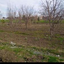 زمین باغی کشاورزی