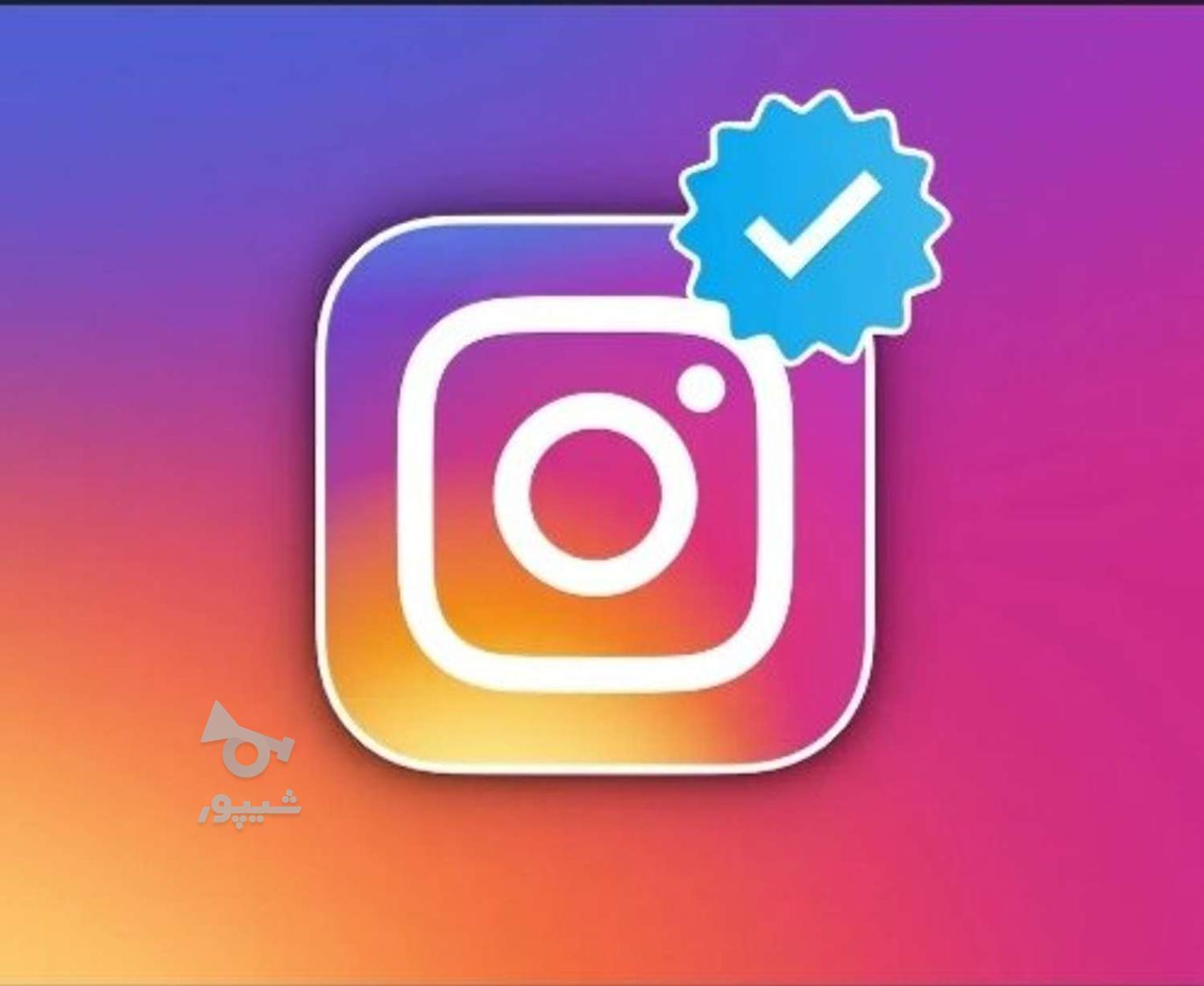 ادمین و مدرس ادمینی - undefined