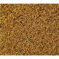 بذر یونجه ماعوپا