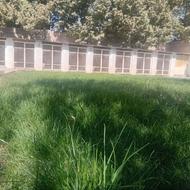 پانسیون سگ و نگهداری انواع نژاد