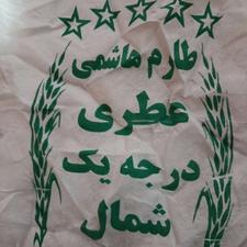 برنج طارم هاشمی اولین کشت دوباره کشت