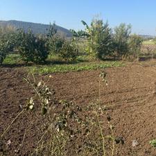 فروش زمین مسکونی 220 متر در تنگ لته