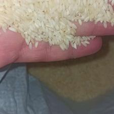 برنج عنبربو خوزستان تازه برداشت