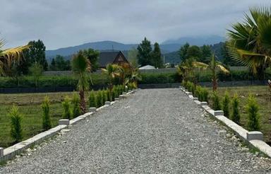 زمین اقساط 24 ماهه سنددار در حاشیه جنگل نور کد1401