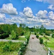 فروش زمین300متر سنددار در حاشیه جنگل الیمالات کد 1400