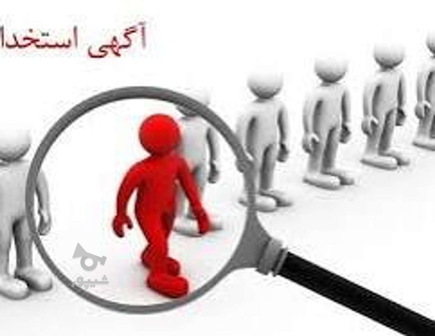 ویزیتور حرفه ای دفتر وکالت - undefined