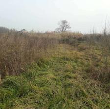 فروش زمین باغی 7000 متری در چافجیر