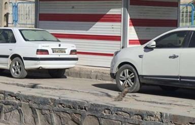 دکه اجاره ای