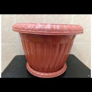 12عدد گلدان سالم