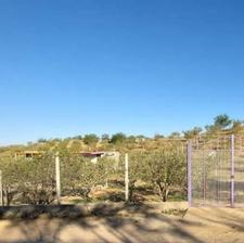 1121 متر باغ در یاغبستلو