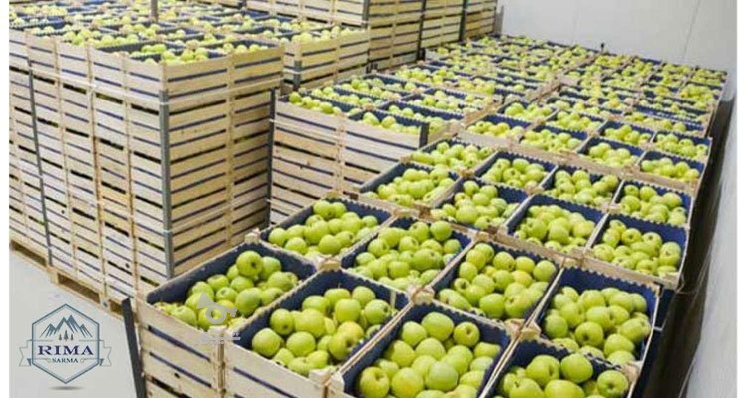 کار سردخانه - مهدی