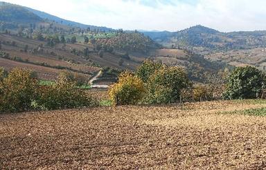 فروش زمین مسکونی 500 متر