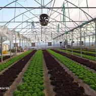 خریدار سازه های گلخانه ای و سوله های دست دوم