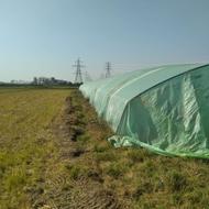 فروش گلخانه جویباری