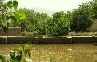 3000 متر زمین خانه درختان میوه