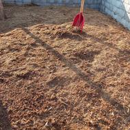 کودگاوی خشک