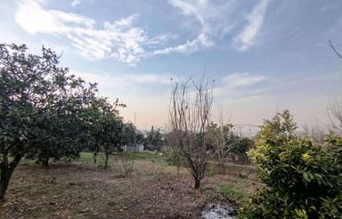 فروش زمین مسکونی 700 متر چشم انداز عالی در شیخ رجه