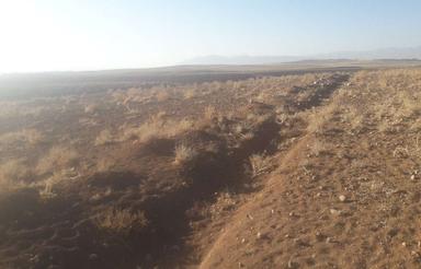 فروش زمین کشاورزی 6000 متر