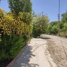 فروش زمین مسکونی 150 متر در دماوند